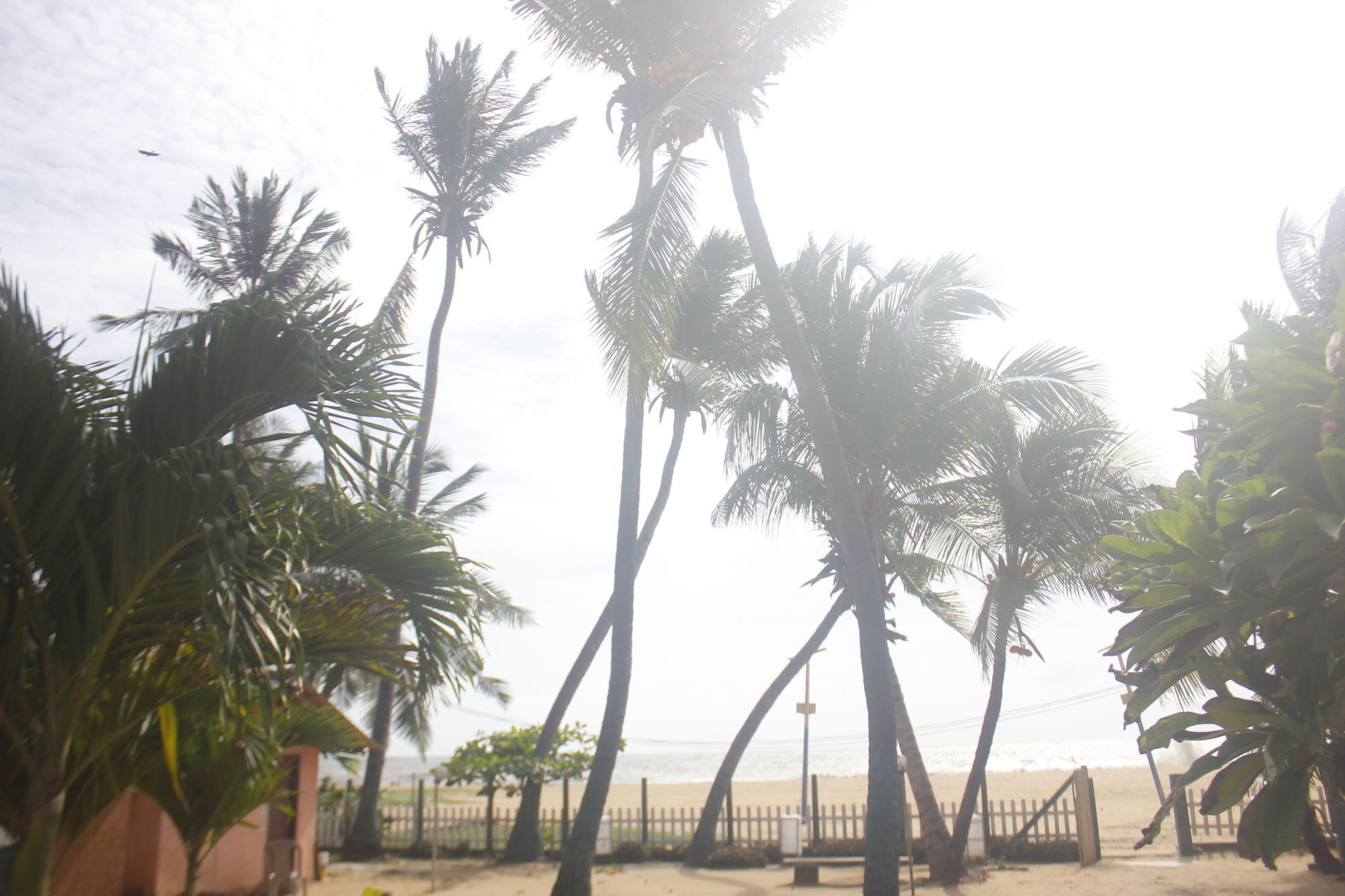 Star Beach Guest House Negombo Exterior photo